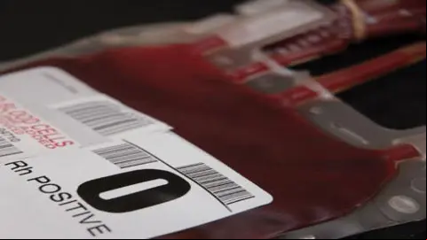 sangre