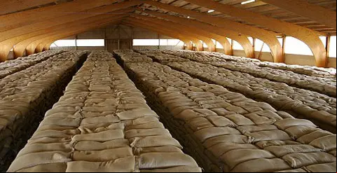 almacen-alimentos480