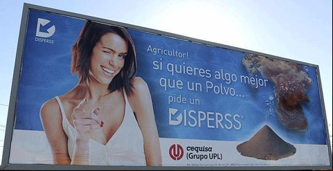 sexistea