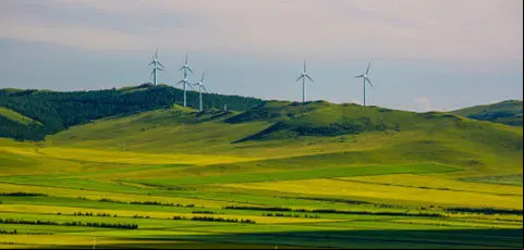 eco