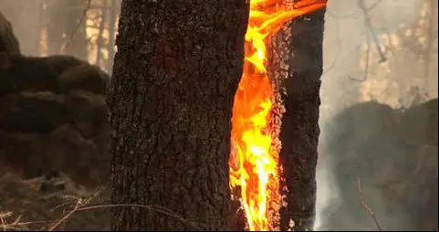 incendio