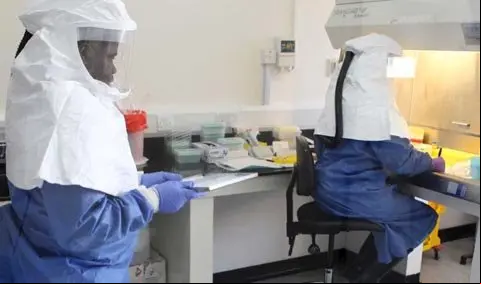 ebola480
