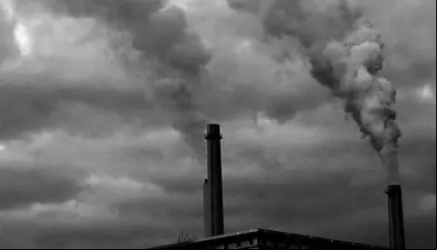 humo