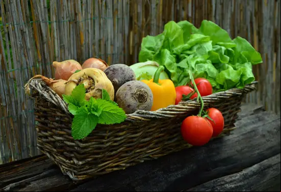 verduras