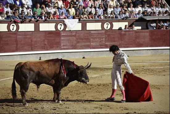 toros