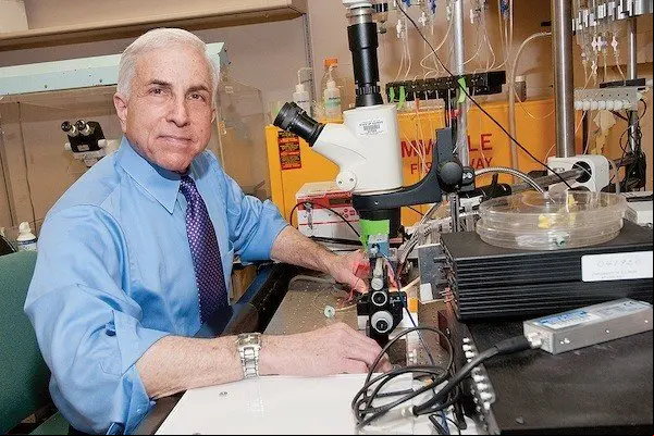 David Pepperberg, University of Illinois at Chicago