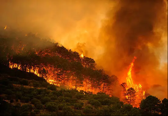 incendios-forestales