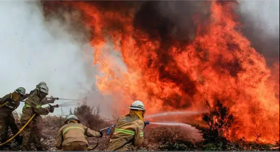 sindicato-bomberos-UGT-lamenta-pérdidas-humanas-incendio-Portugal-768x432