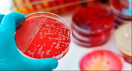 superbacterias-1