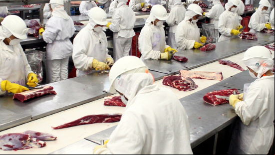trabajadores carnica