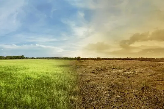 Landscape of meadow field with the changing environment concept of climate change