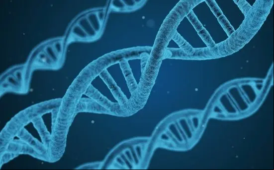 genes