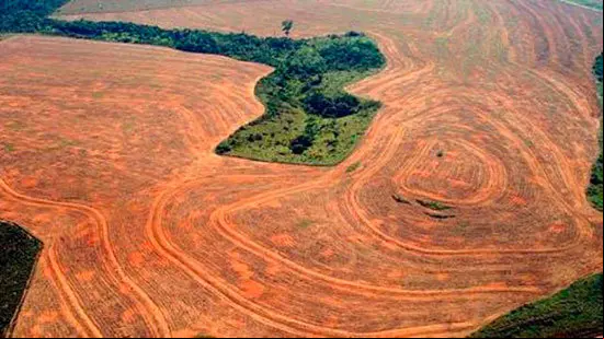 bamazonia