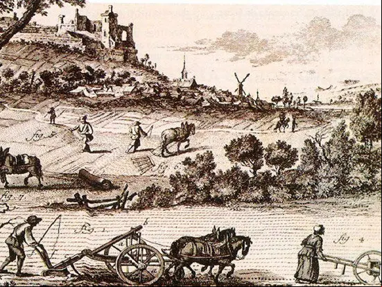 agricultura