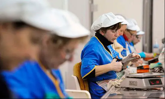 precariedad_empleo_mujeres_epa