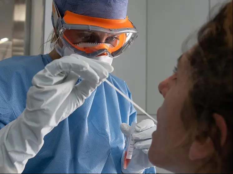 satse coronavirus