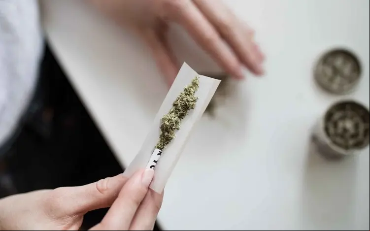 cannabis