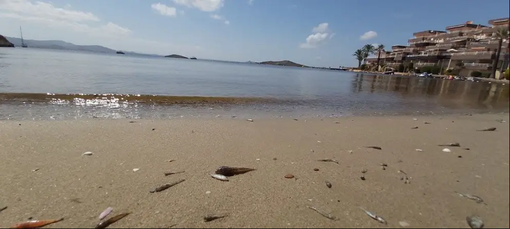 mar menor