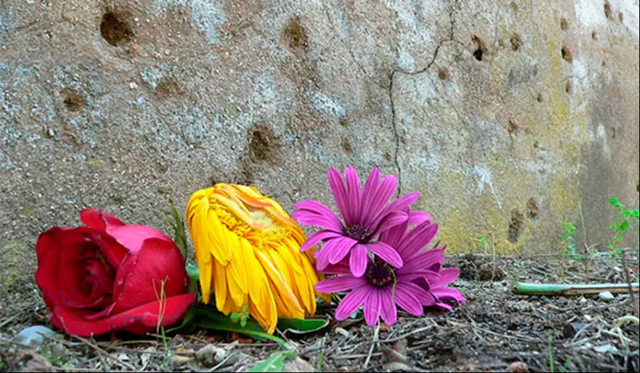 flores_republica