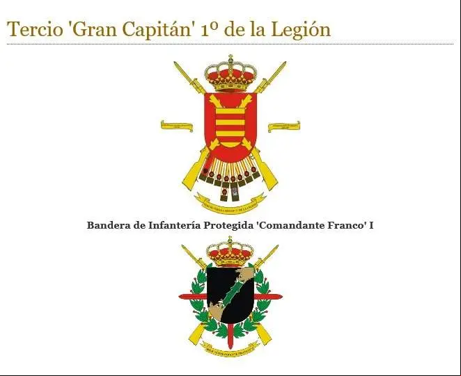 Bandera_Comandante_Franco