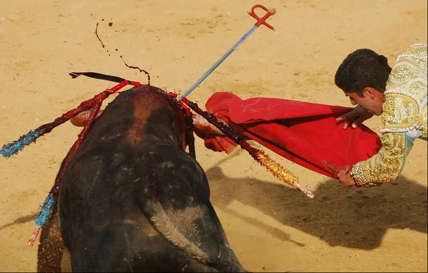 toros