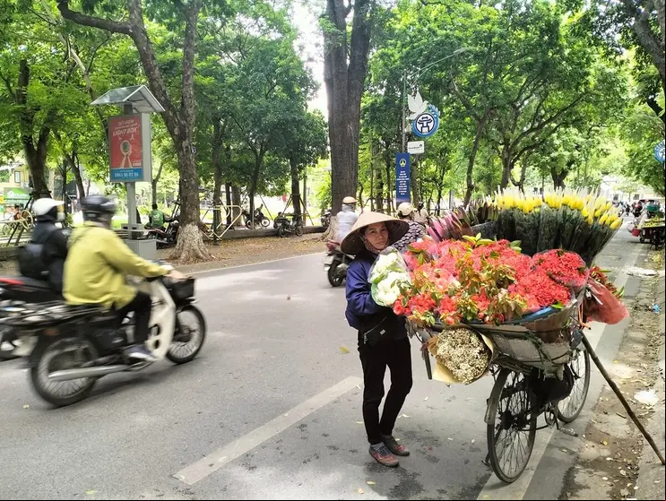 vietnam Foto 12