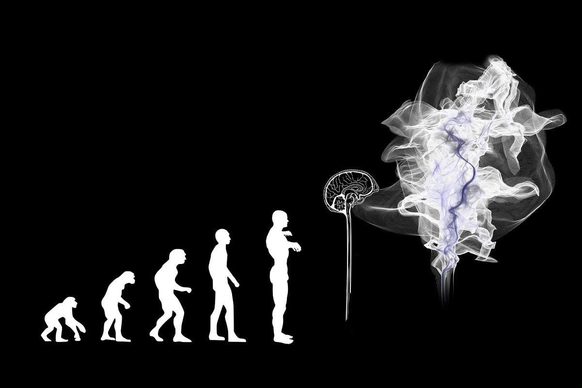 Evolución. (Imagen: Pixabay)