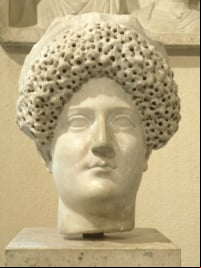 Domicia longina