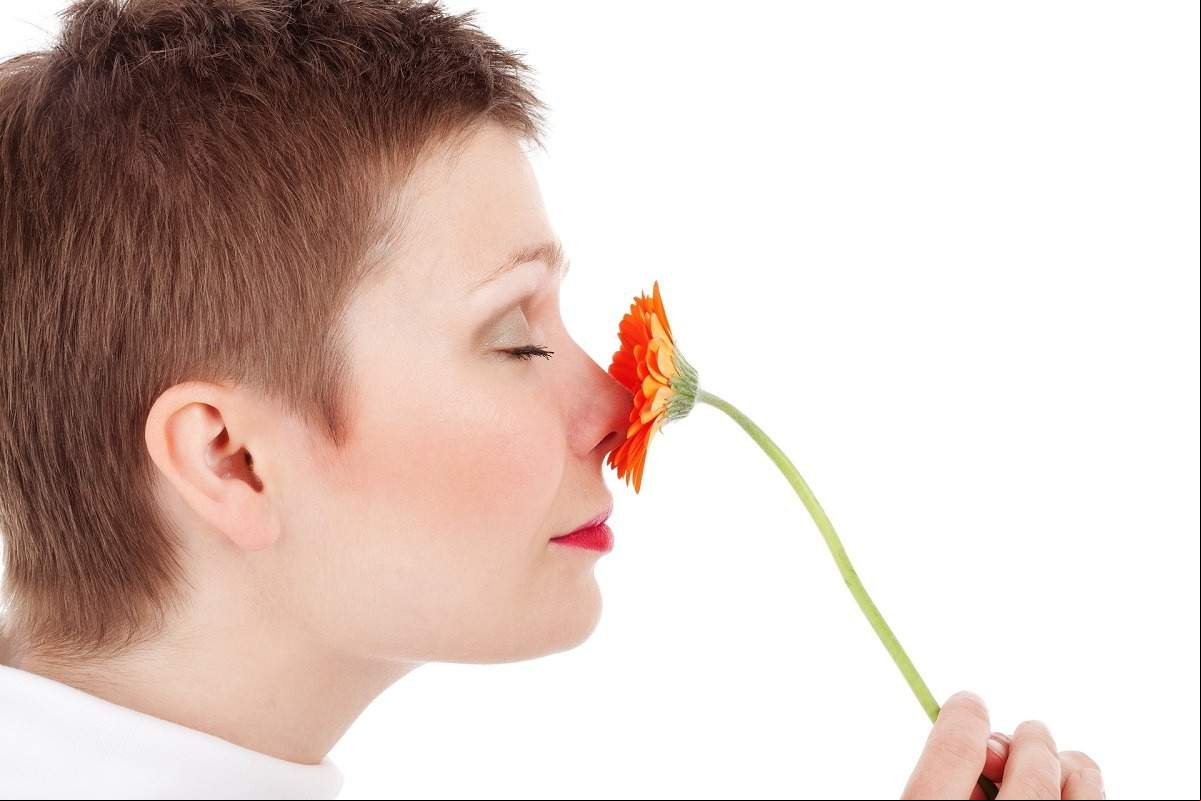 sexo floral