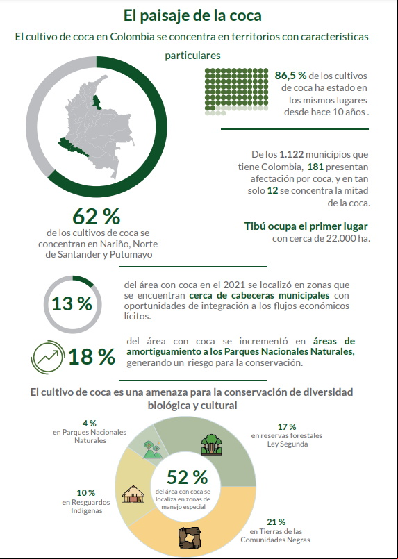 coca_colombia_informe_onu