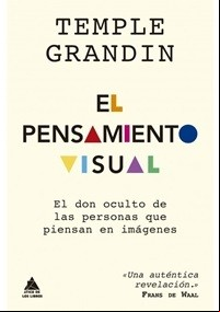 Pensamiento visual