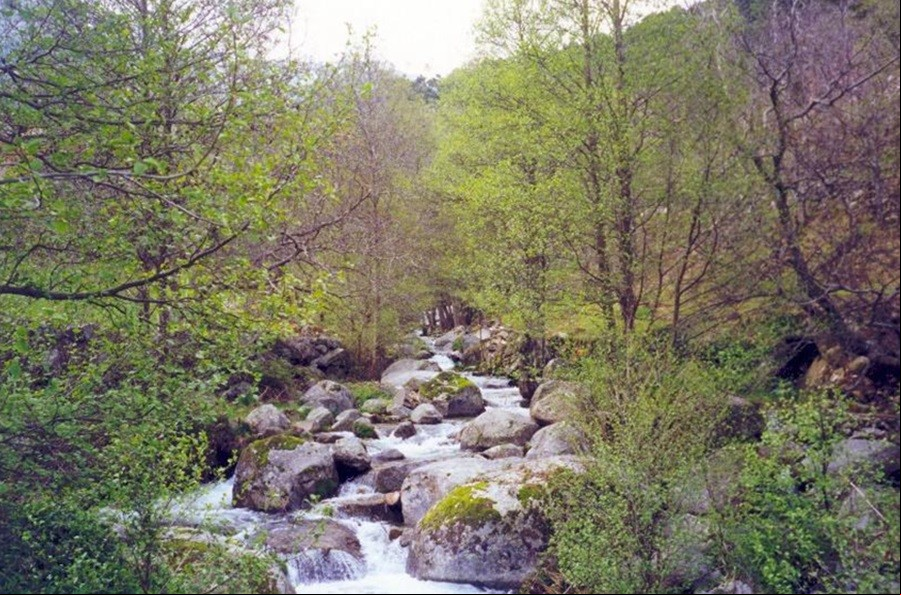 gredos 7