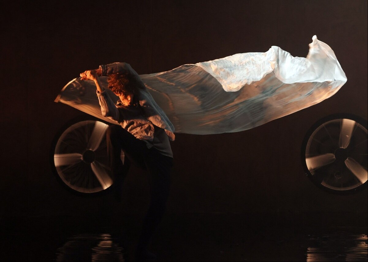 danza